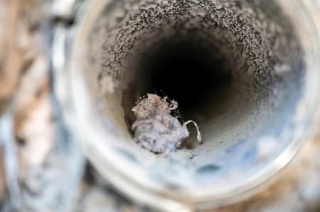 Dryer Vent Inspection Service Image